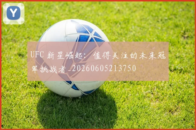UFC 新星崛起：值得关注的未来冠军挑战者_20260605213750