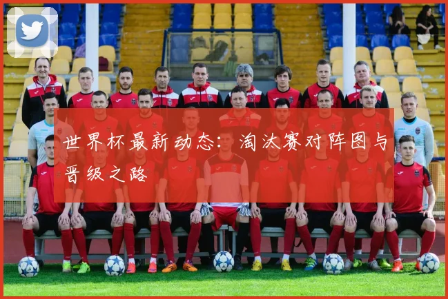 世界杯最新动态:淘汰赛对阵图与晋级之路