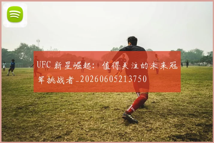 UFC 新星崛起：值得关注的未来冠军挑战者_20260605213750